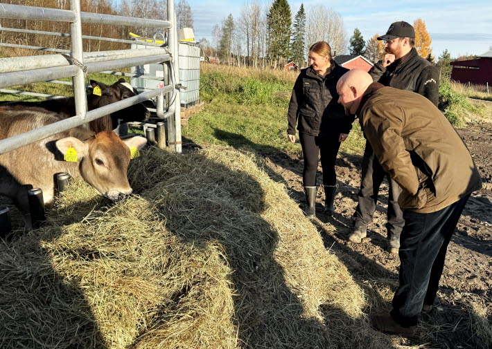 Loggers lantbruk, Sjulmark får besök av Peter Kullgren
