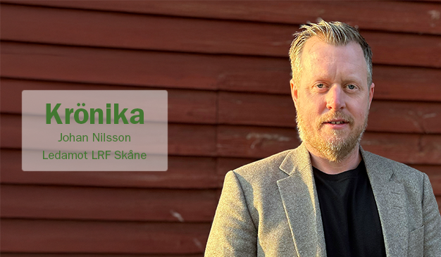 Johan Nilsson krönikebild