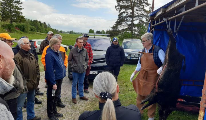 viltkött, utbildning, hygien