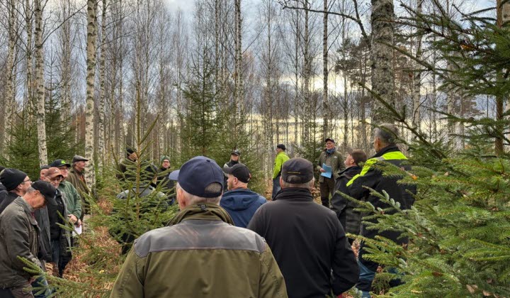 Deltagare bland björkar och granar under träffen om lövskogsskötsel på Boo Egendom.