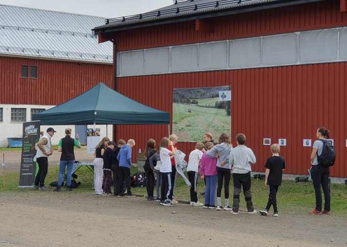Jorden och skogen i stan 2025 på Forslunda