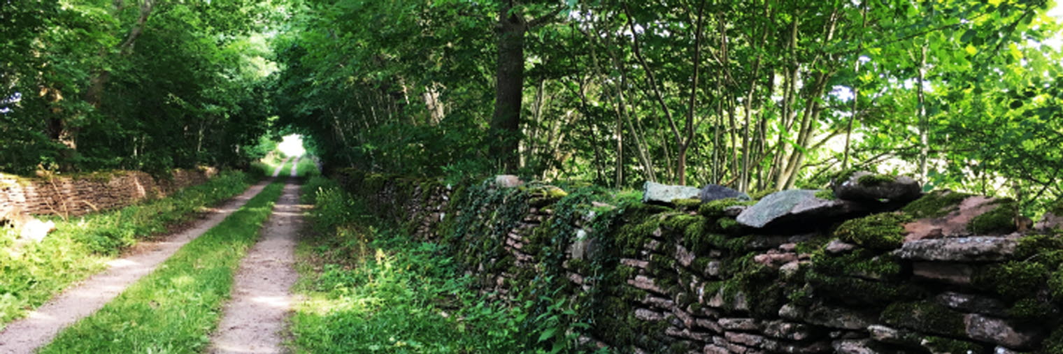 Stenmur