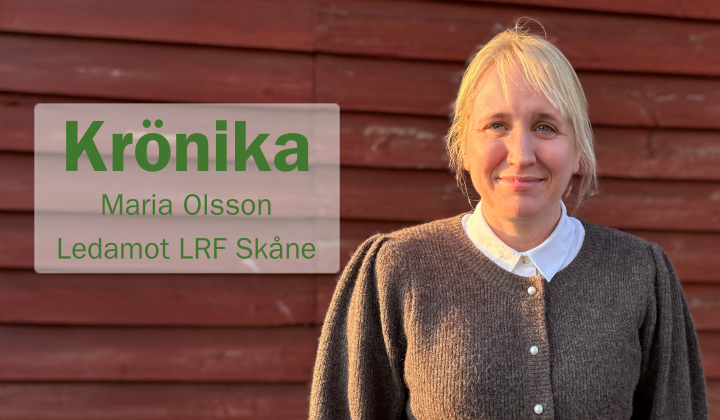 Krönikabild Maria Olsson