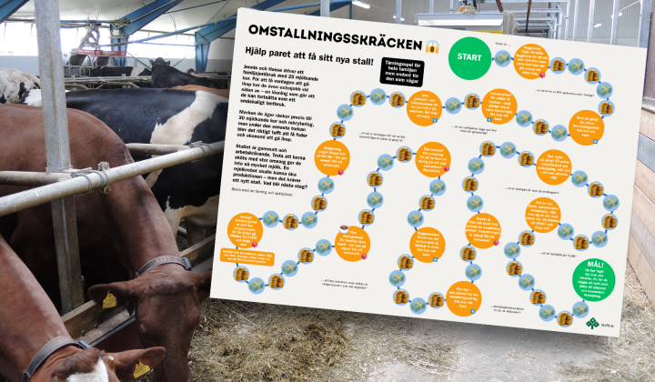 Omstallningsskräcken spel om omstallning