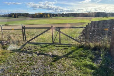 Allt fler lantbrukare tvingas hägna in fält för att skydda grödorna mot viltskador.