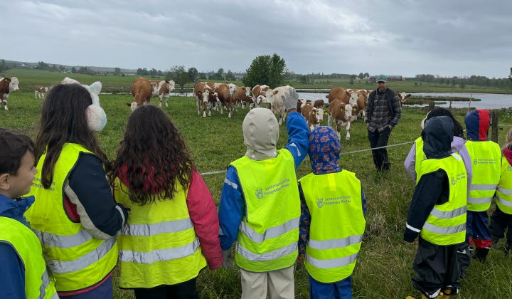 Skolbesök med ett gäng barn i reflexvästar