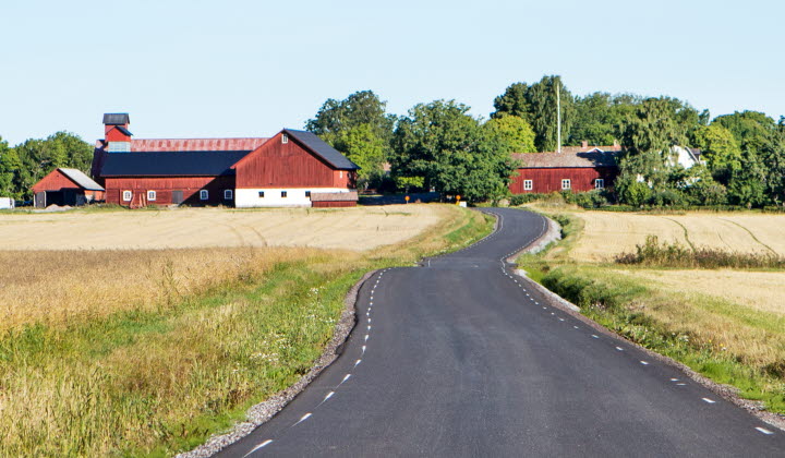 Väg på Esplunda Lantbruk. Fotograf: Ester Sorri.