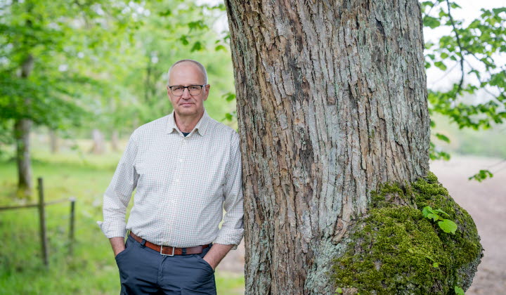 Palle Borgström