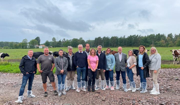 Grupp kvinnor och män som står på rad och i bakgrunden syns kor på bete