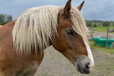 Skolbesök med ett gäng barn i reflexvästar