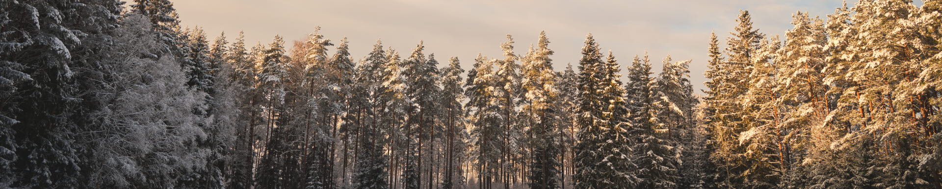 Skogen Och Klimatet - LRF