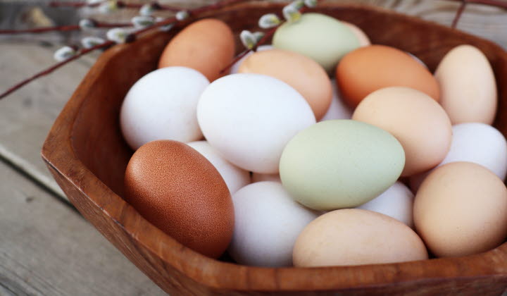 Lokalproducerade ägg