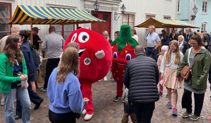 LRFs maskotar äpplet och jordgubben minglar på stan under Wadköping Matmarknad.