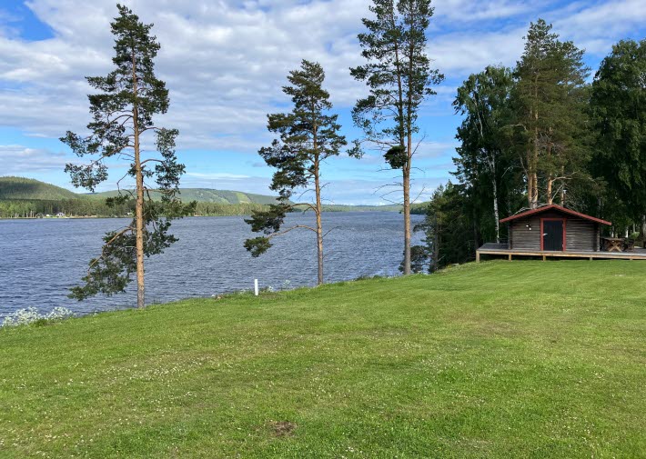 Tannsele lantbruk i Lycksele