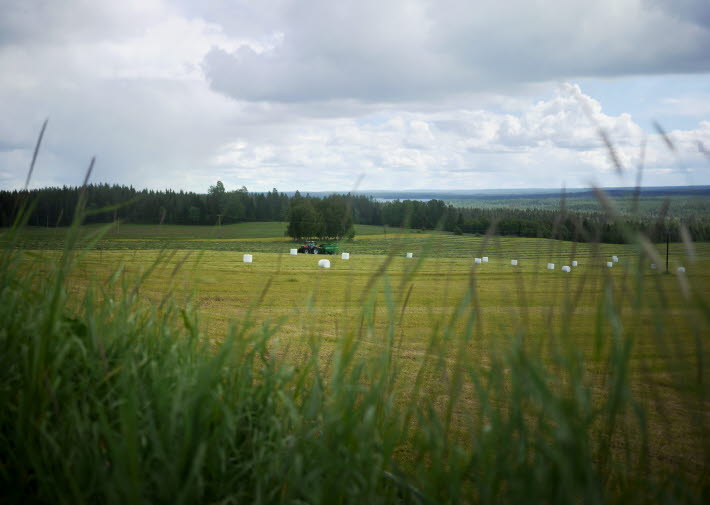 Odlingslandskap i Västernorrland