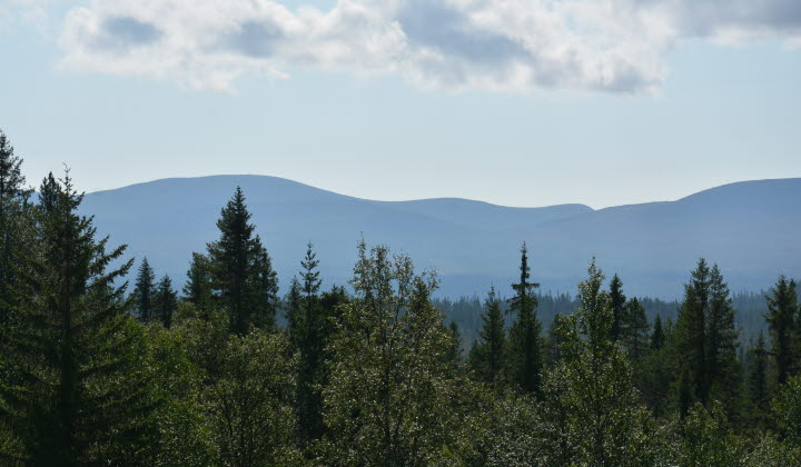 Utsikt mot Sonfjället