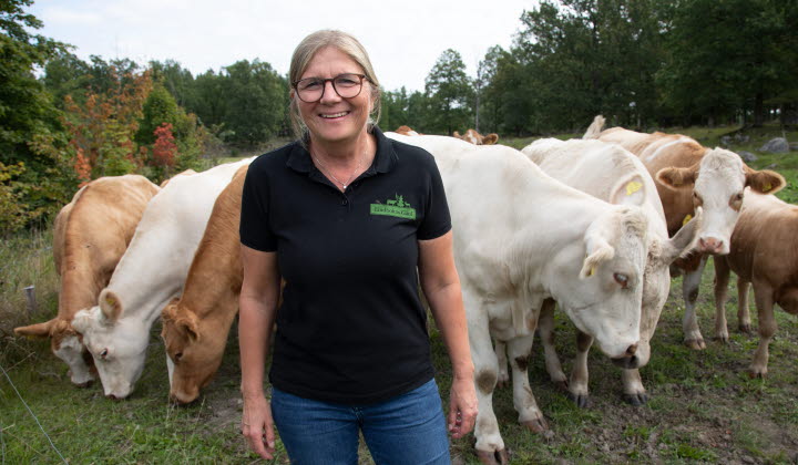 ESKILSTUNA 210824 Martina Schagerlund, Lindholms gård. Gården har köttdjur av raserna charolais, simmental och angus.Foto: Åke Karlsson/lantbruksbild.se