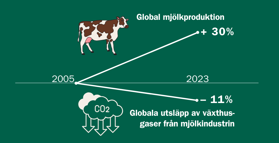 Global Mjölkproduktion 2005 - 2023