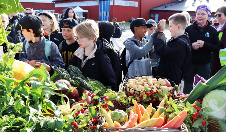 Jorden och skogen i stan 2023, Forslundagymnasiet i Umeå