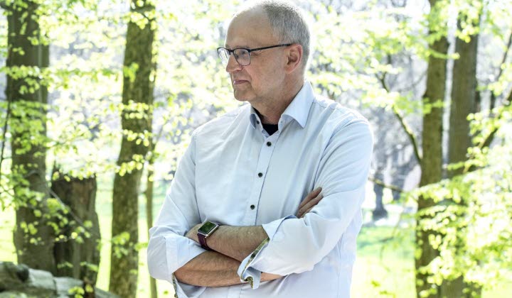 Palle Borgström