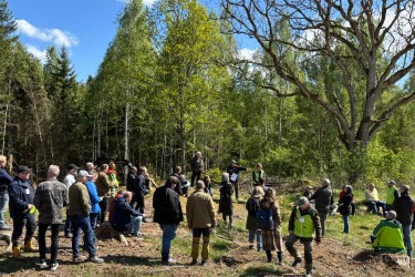 Politiker på skogsdag i Ljungsbro 2