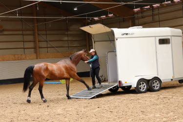 clinic hästhantering sophie lindhe