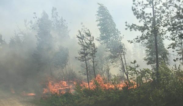 Bönderna hjälper till vid skogsbrand