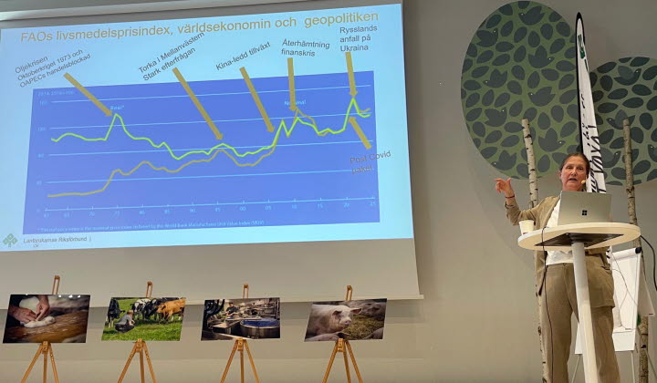 Christina Furustam, internationell strateg på LRF, föreläser på förtroendemannaträffen i Örebro län.