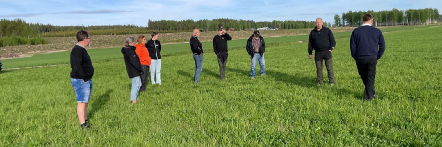 Fältvandring Östra Ämtervik