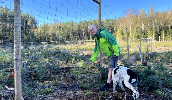 Ett halvhägn där småvilt kan ta sig in
