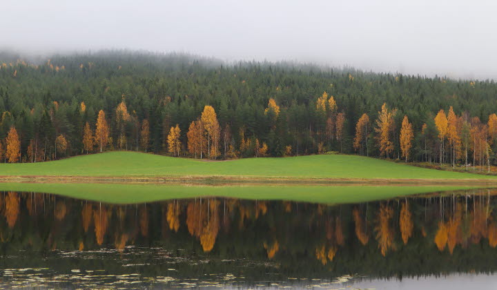 Landskap Skataudden