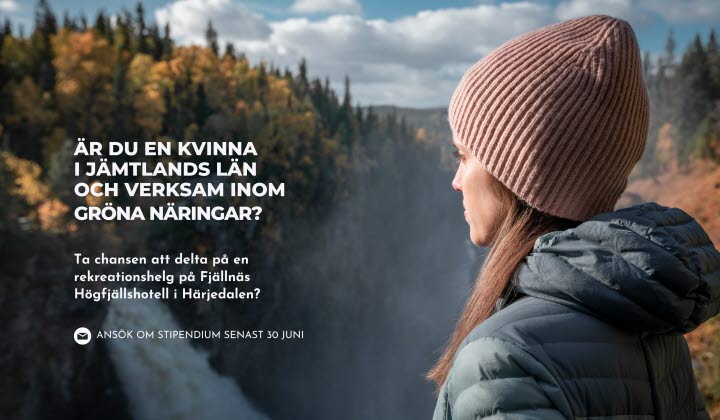 Stiftelsen Familjen Mårtensson i Klocka minne 