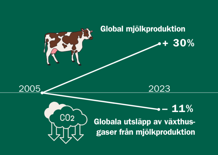 Global mjölkproduktion