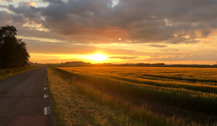 Solnedgång över Östgötaslätten, Vadstena