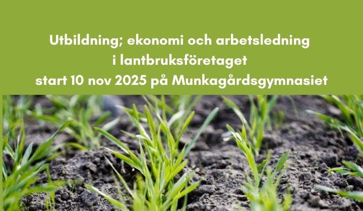 Ekonomiutbildning Halland