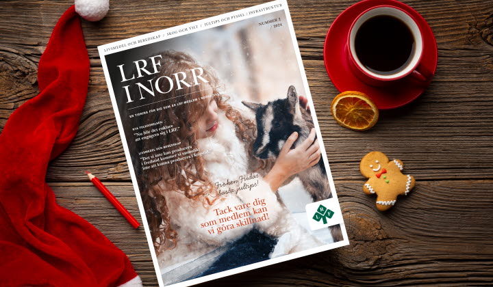 Jultidning Norr mockup