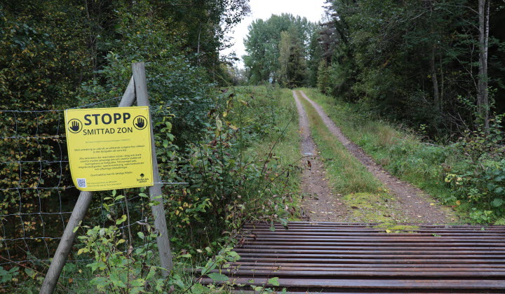 Gul skylt vid skogsväg med texten "Stopp! Smittad zon"