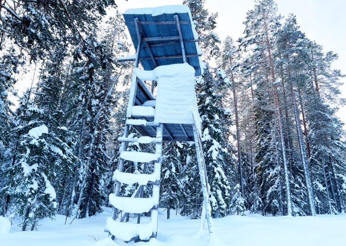 Jakttorn med snö