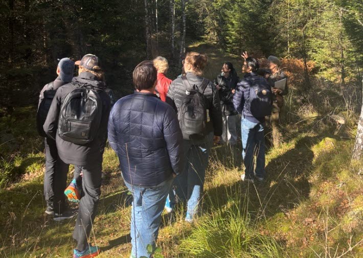 En grupp på cirka tio personer står samlade på en smal stig i en skog med höga träd och tät grönska. De bär ryggsäckar och jackor, och en person längst fram verkar gestikulera och prata med gruppen. Solen lyser genom träden och skapar ljusa fläckar på marken.