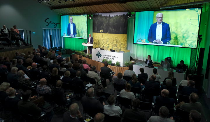 Palle Borgström stämmotalar