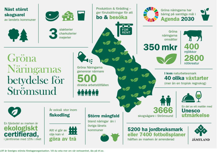 Strömsunds kommun infograf