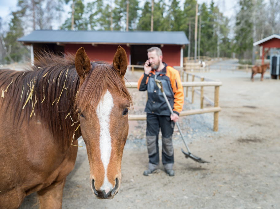 Företagare pratar i telefon med häst i förgrunden