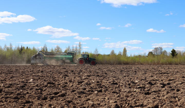 Vårbruk i Kågedalen, Skellefteå