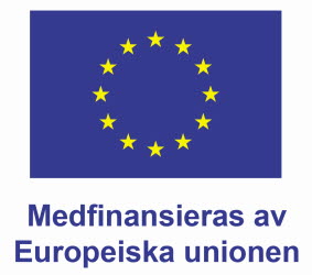 EU-logga medfinansiering