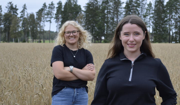 Två kvinnor med spannmål i bakrunden