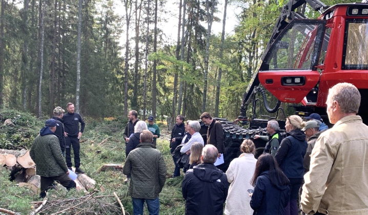 politikermöte i skogen