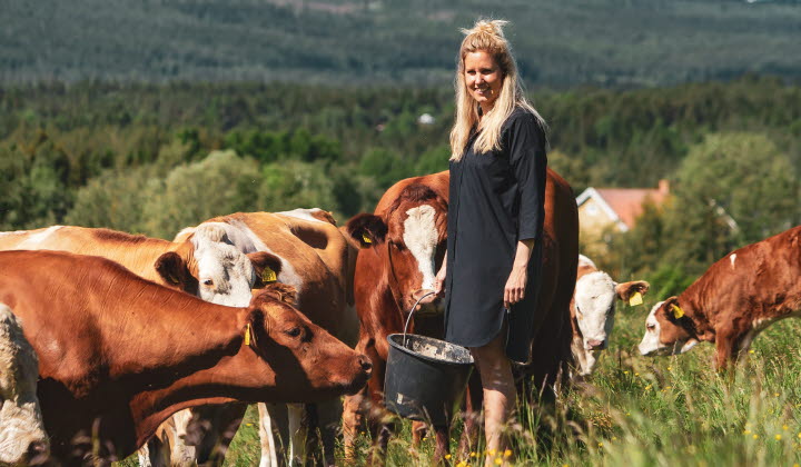 Agnes Jörgensen, Slåtte Naturbeteskött