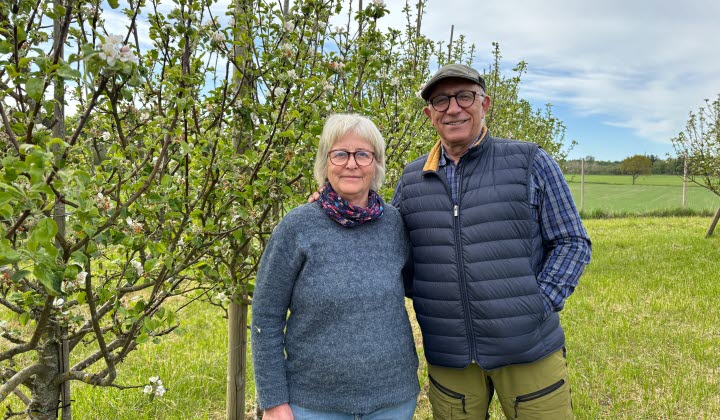 Eivor och Shlomo Gavie, Gavies Gårdar, fruktodling