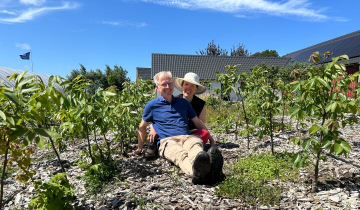 Göran och Mariijke Christiansson sitter på träflis i en rad mellan en odling av nötträd, solen skiner och himlen är blå, i bakgrunden skymtar deras ladugård. En flagga vaggar i vinden.