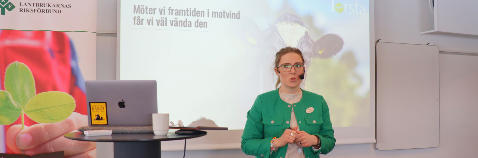 Anna Olofsson-Frestadius, VD på Torsta AB